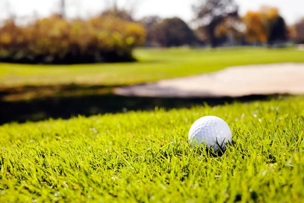 Golf Labda Zöld Vegye Figyelembe Sekély Mélysége Mező — Stock Fotó