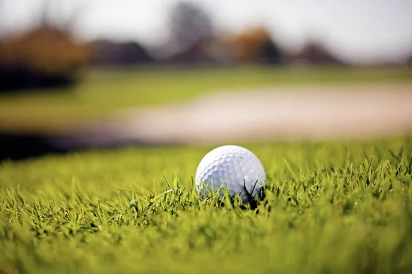 Golfbal Het Groene Gras Let Ondiepe Scherptediepte — Stockfoto