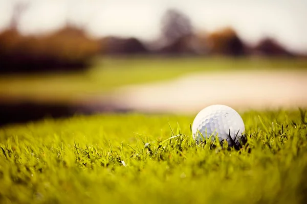 Golfball Auf Dem Grünen Rasen Beachten Sie Die Geringe Schärfentiefe — Stockfoto