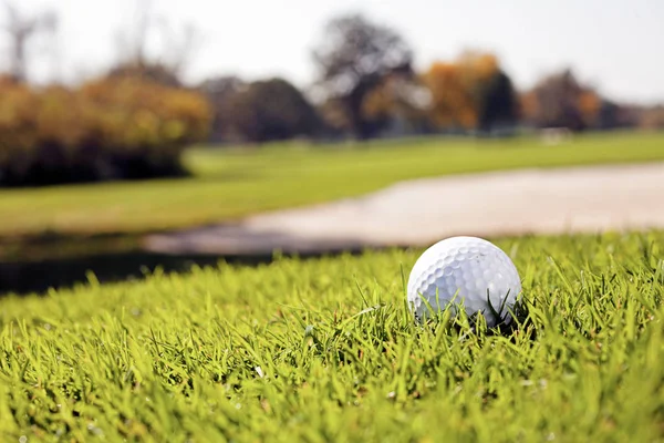 Golfball Auf Dem Grünen Rasen Beachten Sie Die Geringe Schärfentiefe — Stockfoto