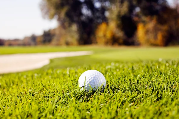 Pelota Golf Hierba Verde Nota Poca Profundidad Campo —  Fotos de Stock