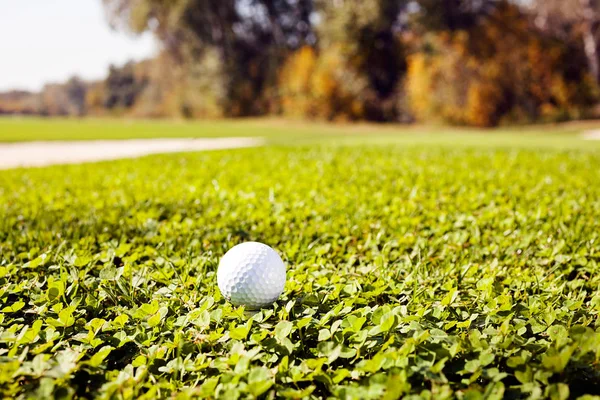 Yeşil Çimlerin Üzerindeki Golf Topu Alanın Derinliğine Dikkat Edin — Stok fotoğraf