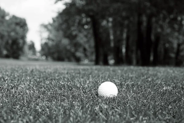 Golfbal Het Groene Gras Let Ondiepe Scherptediepte — Stockfoto