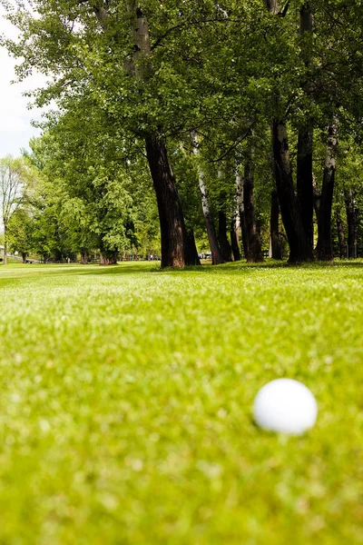 Μπάλα Του Γκολφ Στο Πράσινο Γρασίδι Σημειώστε Ρηχό Βάθος Του — Φωτογραφία Αρχείου