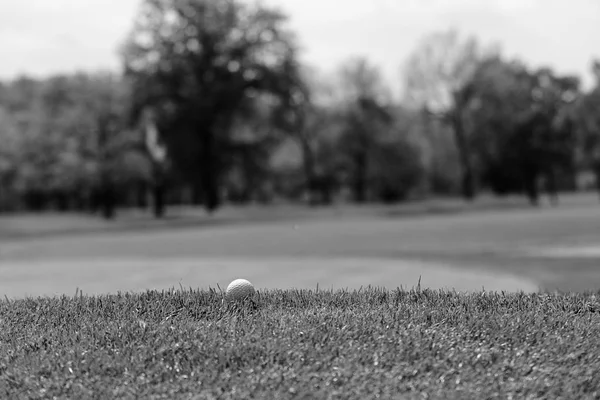 Bola Golfe Grama Verde Observe Profundidade Rasa Campo — Fotografia de Stock