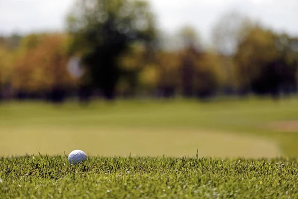 Golf Ball Green Grass Note Shallow Depth Field — 스톡 사진