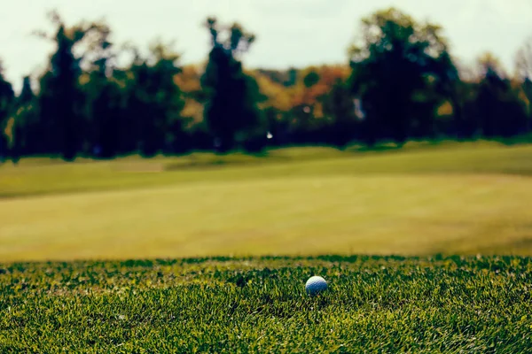 Golf Ball Green Grass Note Shallow Depth Field — 스톡 사진