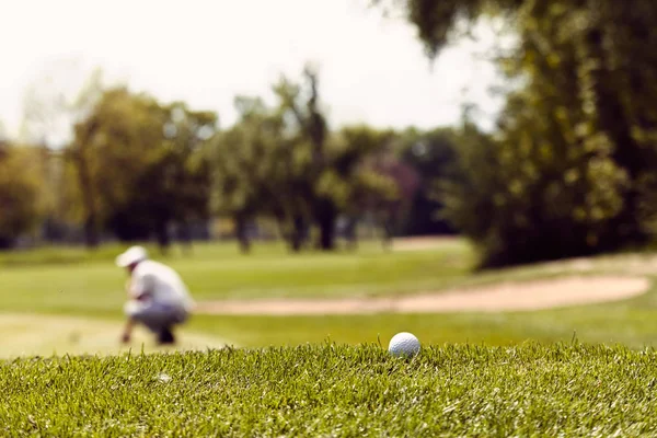 Golfistas Campo Golfe Com Árvores Redor Observe Profundidade Rasa Campo — Fotografia de Stock