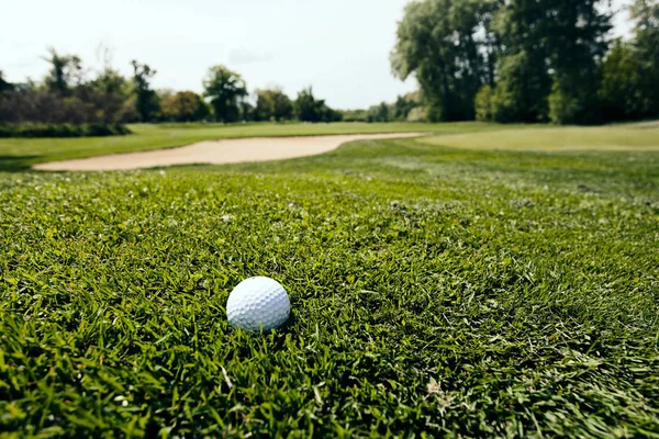 Golfball Auf Dem Grünen Rasen Beachten Sie Die Geringe Schärfentiefe — Stockfoto