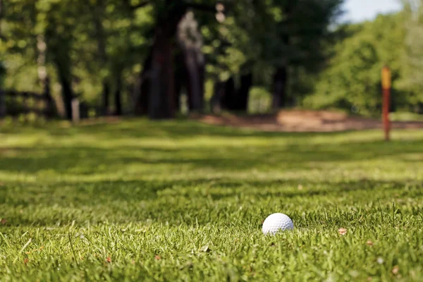 緑の芝生の上のゴルフボールフィールドの浅い深さに注意してください — ストック写真