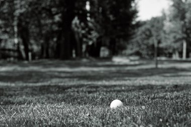 Yeşil çimlerin üzerindeki golf topu, alanın derinliğine dikkat edin.