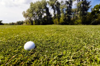 Yeşil çimlerin üzerindeki golf topu, alanın derinliğine dikkat edin.