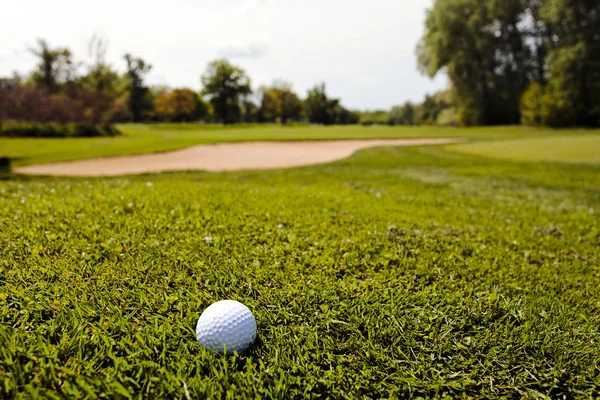 Pelota Golf Hierba Verde Nota Poca Profundidad Campo —  Fotos de Stock