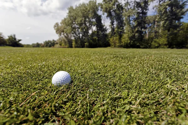 Golfball Auf Dem Grünen Rasen Beachten Sie Die Geringe Schärfentiefe — Stockfoto