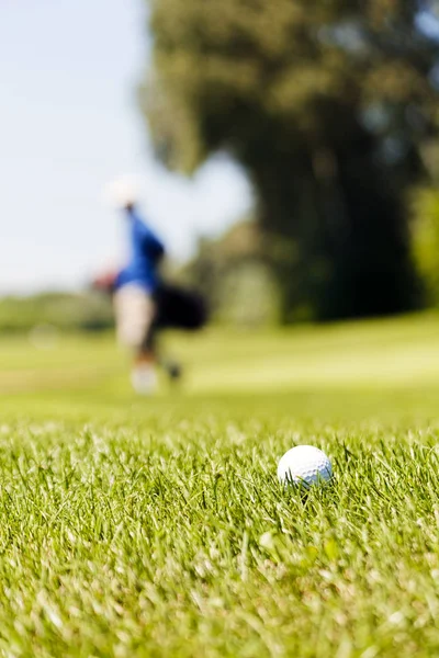 木とゴルフコースでゴルファーは フィールドの浅い深さを注意してください — ストック写真