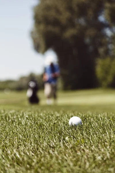 Golfare Golfbanan Med Träd Runt Observera Kort Skärpedjup — Stockfoto