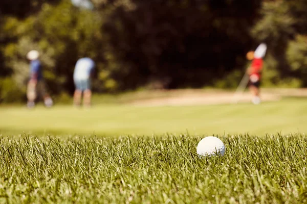 Golfisté Golfovém Hřišti Stromy Kolem Všimněte Malá Hloubka Ostrosti — Stock fotografie