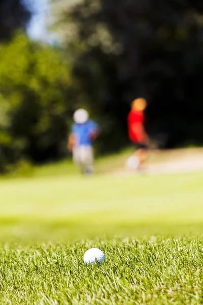 Golfistas Campo Golf Con Árboles Alrededor Nota Poca Profundidad Campo —  Fotos de Stock