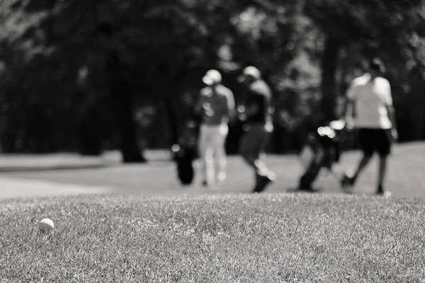 Campo de golf deportivo —  Fotos de Stock