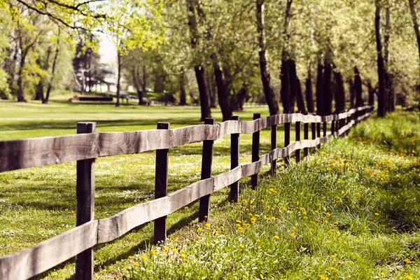 Ormandaki ahşap kalaslardan çitler, sığ alan derinliğine dikkat edin.