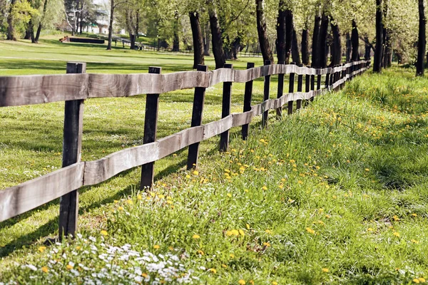 Ormandaki ahşap kalaslardan çitler, sığ alan derinliğine dikkat edin.