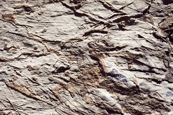 Yıkılmış taş duvarın soyut bir parçası, yüzeysel alan derinliğine dikkat edin.