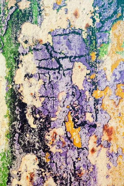 Hasarlı duvarın kalıntıları, yüzeysel alan derinliğine dikkat edin.