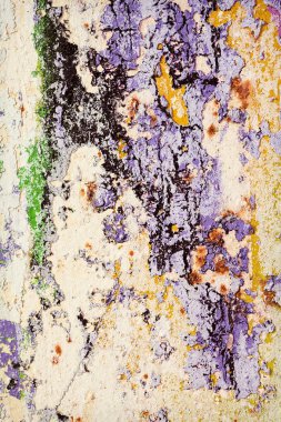 Hasarlı duvarın kalıntıları, yüzeysel alan derinliğine dikkat edin.