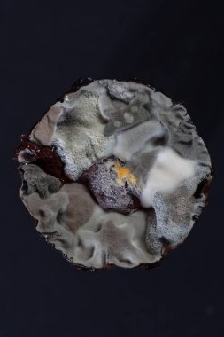 Kalıpla kaplanmış eski pasta, yüzeysel alan derinliğine dikkat edin.