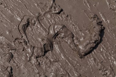 Sonbaharda çamurlu kır yolu, sığ alan derinliğine dikkat edin.