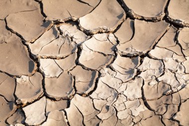 Çamur doğada kurumuş, alanın derinliğine dikkat edin.