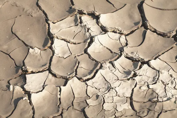 Çamur doğada kurumuş, alanın derinliğine dikkat edin.