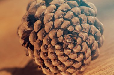 Ahşap bir tabanda çam kozalağı, sığ alan derinliğine dikkat edin.