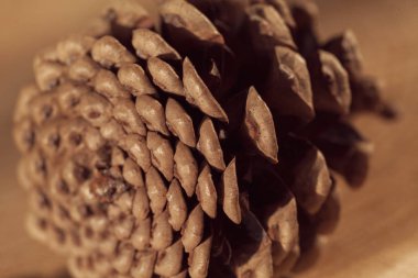 Ahşap bir tabanda çam kozalağı, sığ alan derinliğine dikkat edin.