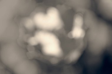 arka plan bulanık için soyut kırmızı çiçek