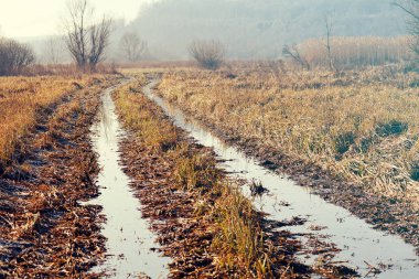Sonbahar çamurlu ülkede yol