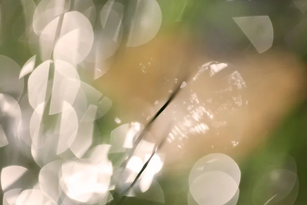 Abstrakte Reflexion Von Regentropfen Auf Dem Gras Für Verschwommenen Hintergrund — Stockfoto
