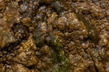 Uzun vadeli suyun etkisi altında kaygan kayalar, yüzeysel alan derinliğine dikkat edin.