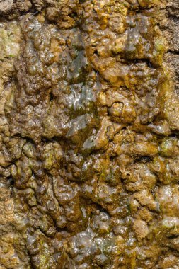 Uzun vadeli suyun etkisi altında kaygan kayalar, yüzeysel alan derinliğine dikkat edin.