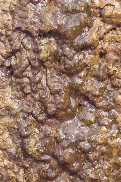 Ολισθηροί Βράχοι Υπό Την Επίδραση Μακροπρόθεσμων Υδάτων Σημειώνουν Ρηχό Βάθος — Φωτογραφία Αρχείου
