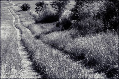 Kırsal alandaki çayırların arasındaki patika, sığ alan derinliğine dikkat edin.