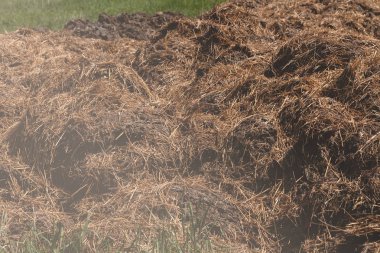 Tarım için çimenlerin üzerindeki gübrelerin kuruması, tarlanın sığ derinliğine dikkat edin.