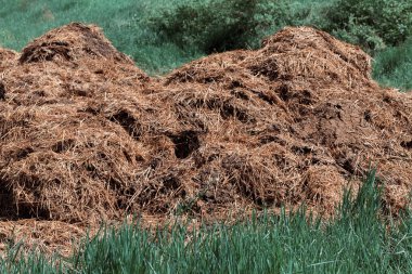 Tarım için çimenlerin üzerindeki gübrelerin kuruması, tarlanın sığ derinliğine dikkat edin.