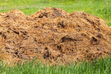 Tarım için çimenlerin üzerindeki gübrelerin kuruması, tarlanın sığ derinliğine dikkat edin.