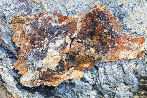 Part Stone Wall Beautiful Natural Patterns Note Shallow Depth Field — 스톡 사진