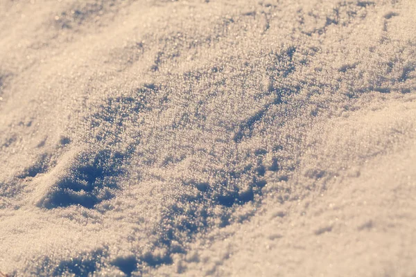 Park Snow Note Shallow Depth Field — Stock Photo, Image