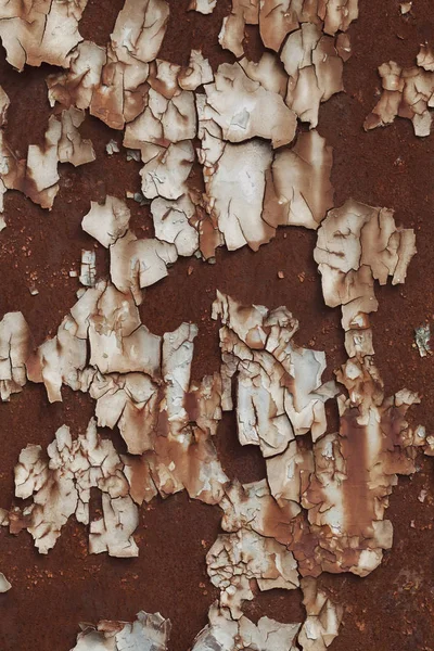 metal door damaged by rust, note shallow depth of field