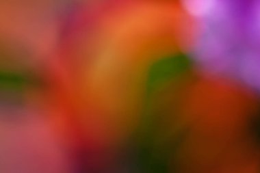 Bulanık arkaplan için tarlada soyut mor çiçek