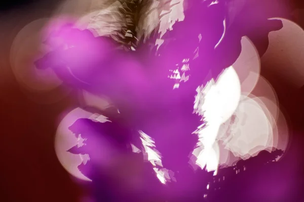 Bulanık Arkaplanda Bulanık Arkaplan Için Olağandışı Pembe Çiçeğin Soyutlanması — Stok fotoğraf