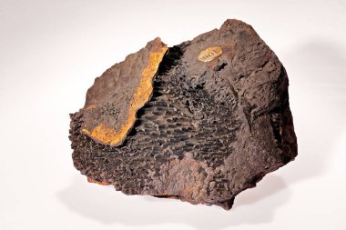 beyaz arkaplanda limonit